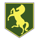 Thorpe Hesley and High Green Cricket Club (THGCC)