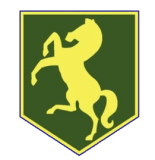 Thorpe Hesley and High Green Cricket Club (THGCC)